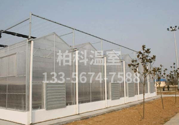 陽(yáng)光板溫室