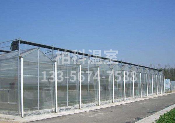 陽(yáng)光板溫室