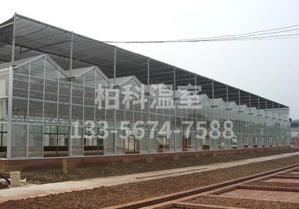 陽(yáng)光板溫室