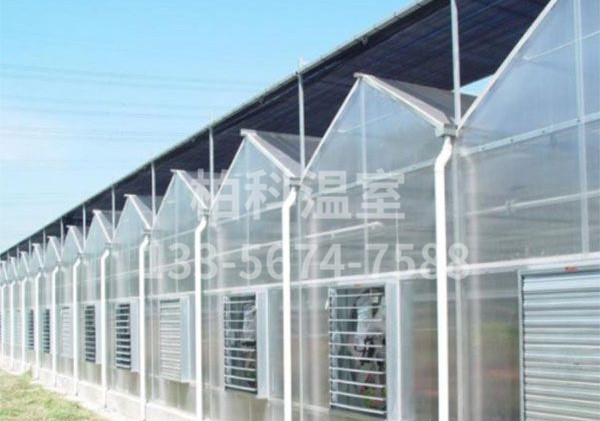 陽(yáng)光板溫室