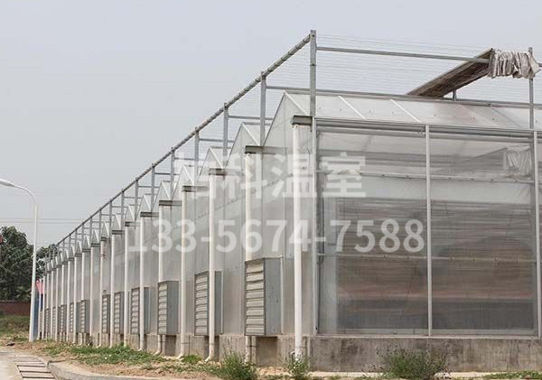 陽(yáng)光板溫室