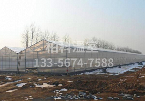 陽(yáng)光板溫室