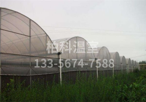 small4_15627524896178098