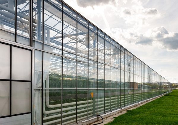 山東玻璃溫室廠家