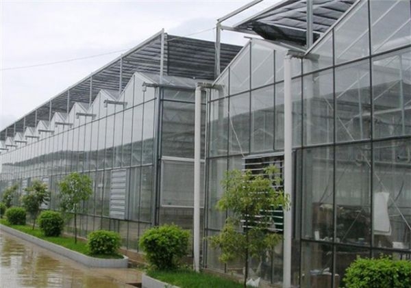 山東智能溫室大棚廠家